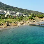 Egeyildizi 阿库布克